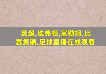 英超,埃弗顿,富勒姆,比赛集锦,足球直播在线观看