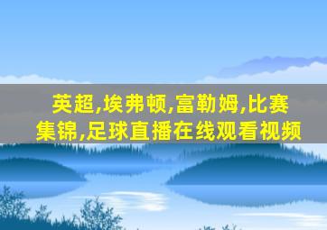 英超,埃弗顿,富勒姆,比赛集锦,足球直播在线观看视频