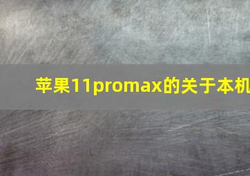 苹果11promax的关于本机