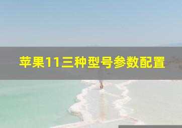 苹果11三种型号参数配置