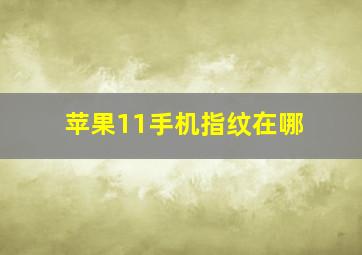 苹果11手机指纹在哪