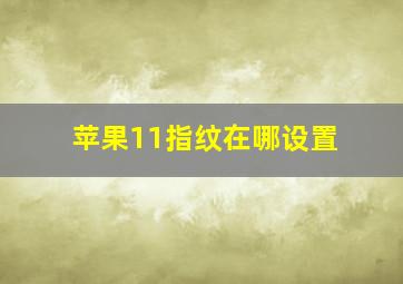 苹果11指纹在哪设置