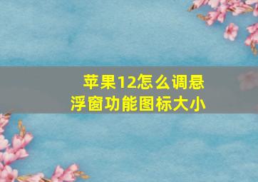 苹果12怎么调悬浮窗功能图标大小