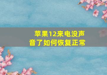 苹果12来电没声音了如何恢复正常