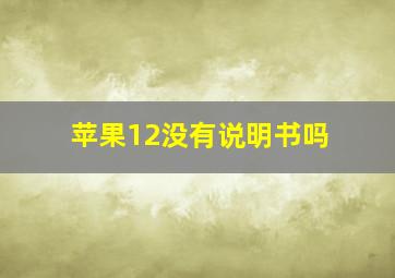 苹果12没有说明书吗