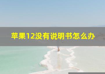 苹果12没有说明书怎么办