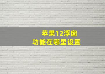 苹果12浮窗功能在哪里设置