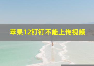 苹果12钉钉不能上传视频