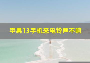 苹果13手机来电铃声不响