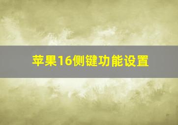 苹果16侧键功能设置