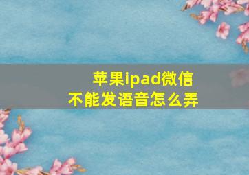 苹果ipad微信不能发语音怎么弄