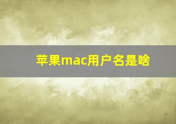 苹果mac用户名是啥