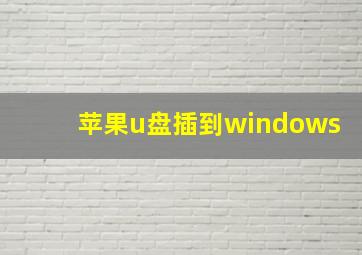 苹果u盘插到windows