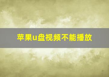 苹果u盘视频不能播放