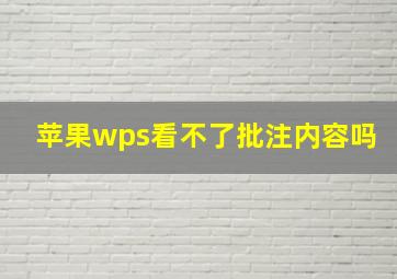 苹果wps看不了批注内容吗