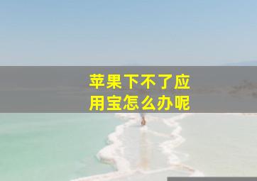 苹果下不了应用宝怎么办呢