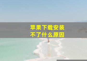 苹果下载安装不了什么原因