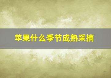 苹果什么季节成熟采摘