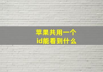 苹果共用一个id能看到什么