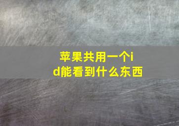 苹果共用一个id能看到什么东西