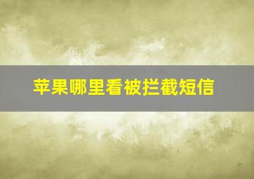 苹果哪里看被拦截短信