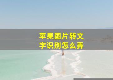 苹果图片转文字识别怎么弄