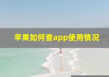 苹果如何查app使用情况