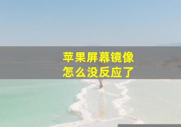 苹果屏幕镜像怎么没反应了