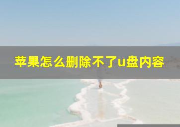 苹果怎么删除不了u盘内容