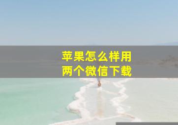 苹果怎么样用两个微信下载