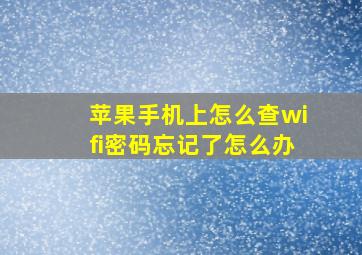 苹果手机上怎么查wifi密码忘记了怎么办