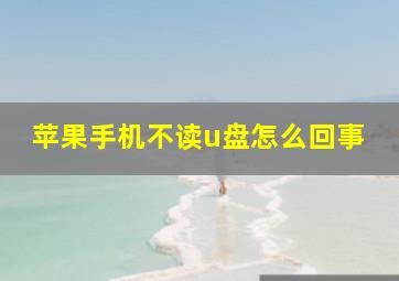 苹果手机不读u盘怎么回事