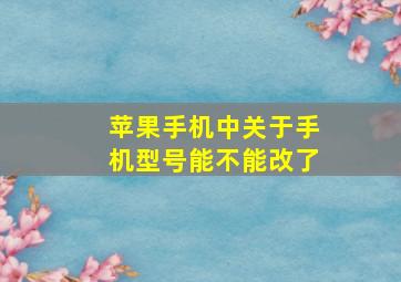 苹果手机中关于手机型号能不能改了