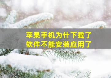 苹果手机为什下载了软件不能安装应用了