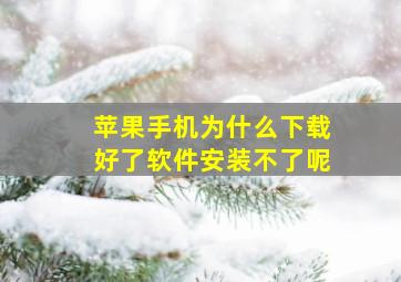 苹果手机为什么下载好了软件安装不了呢