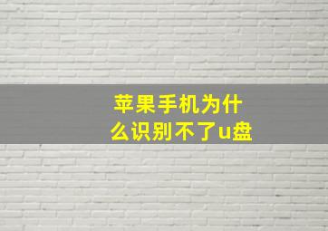 苹果手机为什么识别不了u盘