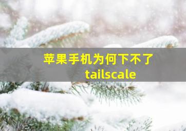 苹果手机为何下不了tailscale