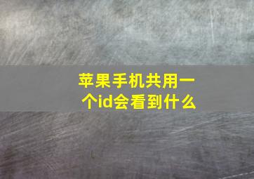 苹果手机共用一个id会看到什么