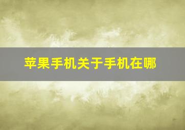 苹果手机关于手机在哪