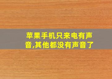 苹果手机只来电有声音,其他都没有声音了