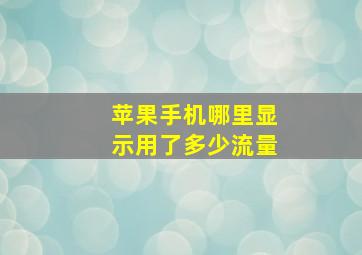 苹果手机哪里显示用了多少流量