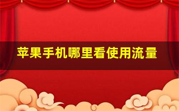 苹果手机哪里看使用流量