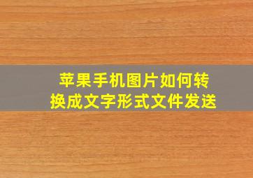 苹果手机图片如何转换成文字形式文件发送