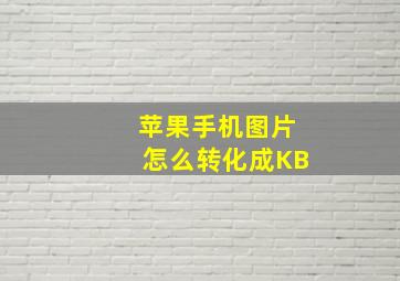 苹果手机图片怎么转化成KB