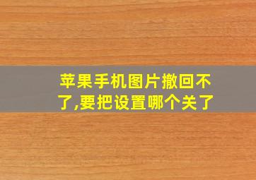 苹果手机图片撤回不了,要把设置哪个关了