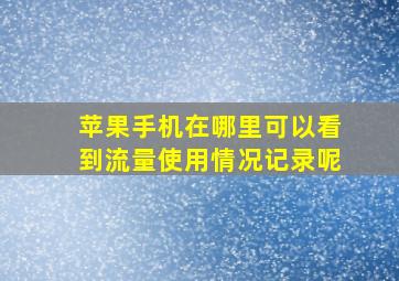 苹果手机在哪里可以看到流量使用情况记录呢