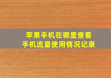 苹果手机在哪里查看手机流量使用情况记录