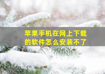 苹果手机在网上下载的软件怎么安装不了