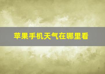 苹果手机天气在哪里看