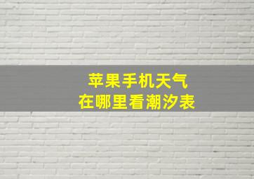 苹果手机天气在哪里看潮汐表